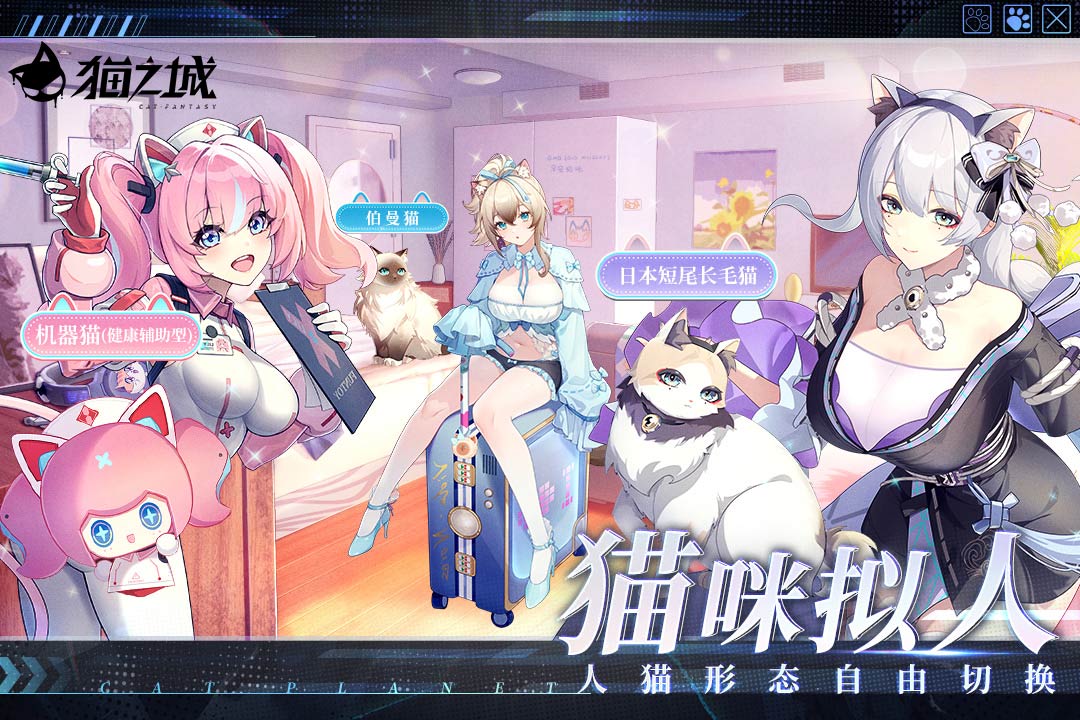 猫之城截图1